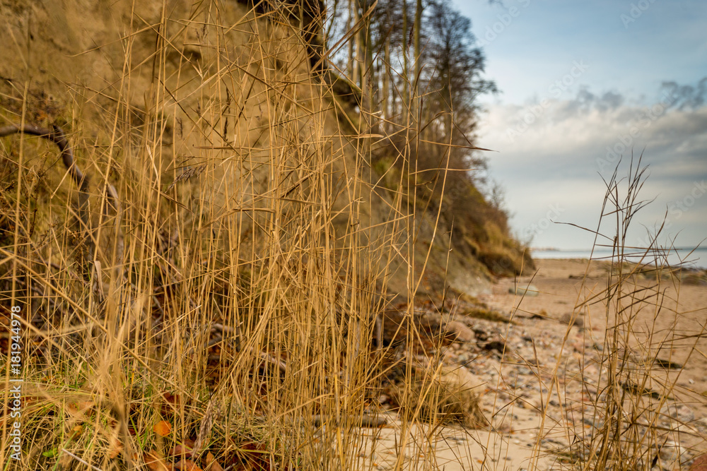 Fototapeta premium Ostsee