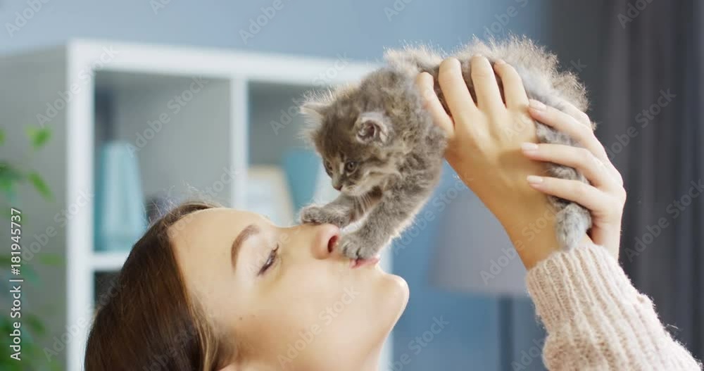 Close up of pretty woman kissing and holding up a small cute kitty-cat on the sunlight background. Indoors Close up of pretty woman kissing and holding up a small cute kitty-cat on the sunlight background. Indoors