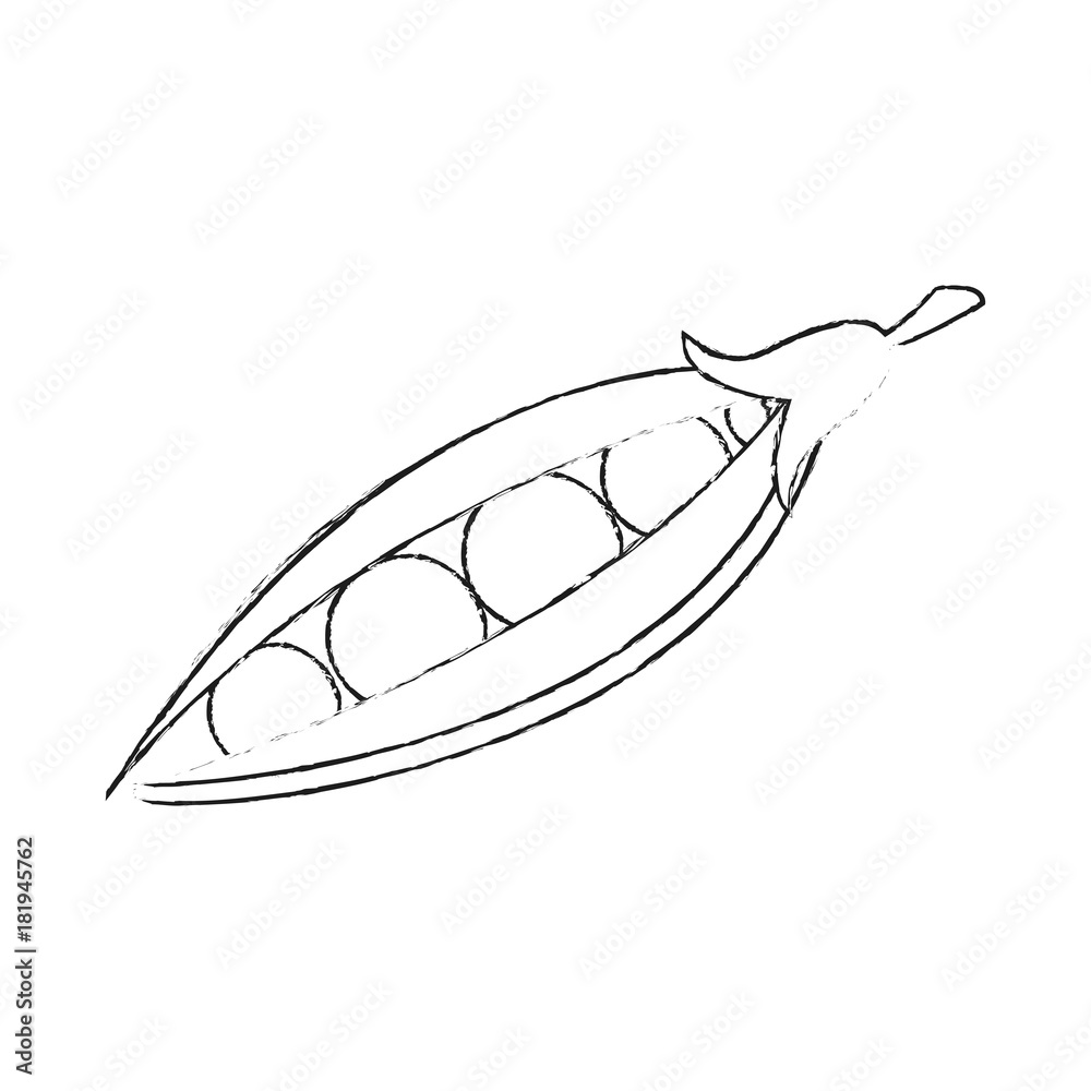 Fresh peas vegetable icon vector illustration graphic design Fresh peas vegetable icon vector illustration graphic design