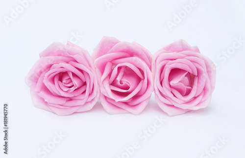 Pink rose petals isolated on white background for valentines day © pitiporn