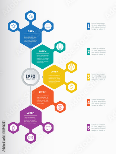 Infographic or Business presentation with 5 options. Vector dynamic infographics or mind map of technology or education process with 5 steps. Web Template of a chart, mindmap or diagram.