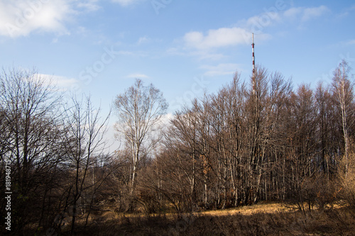 Wallpaper Mural Sofia Kopitoto Torontodigital.ca