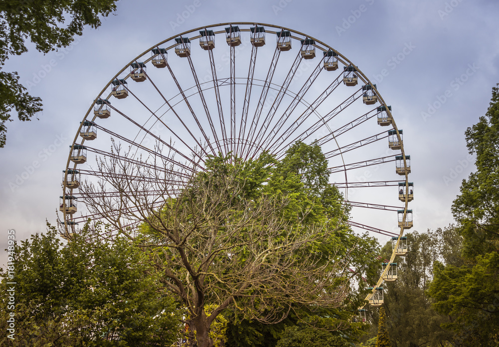 Ferris wheel in atraction park