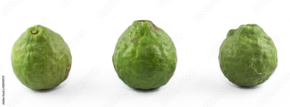 Bergamot is a herb Bergamot is a herb