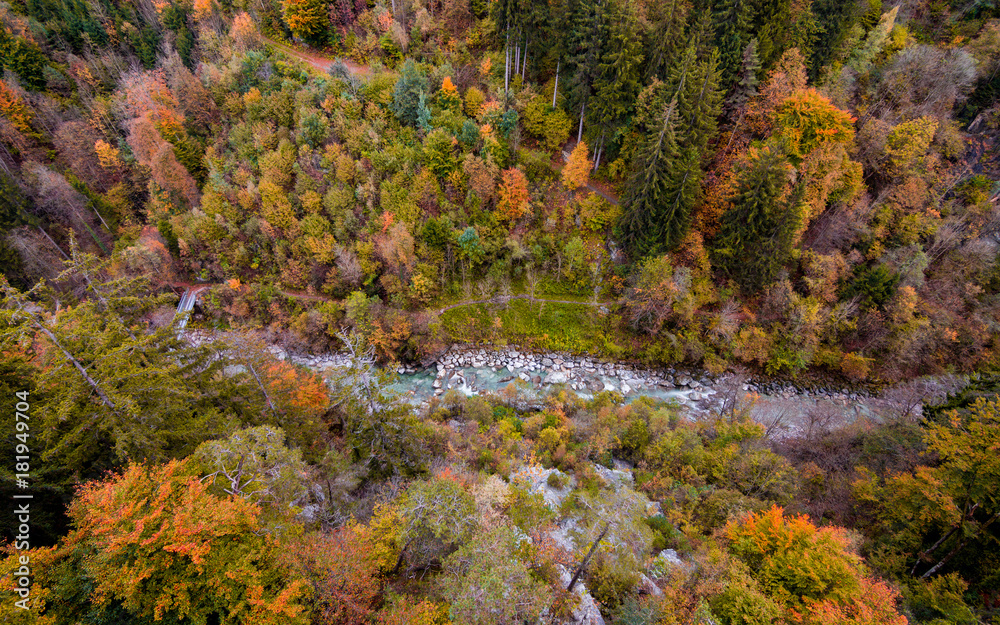 Arial shot of a forest and a river in a valley in the alps during a colorful fall.
