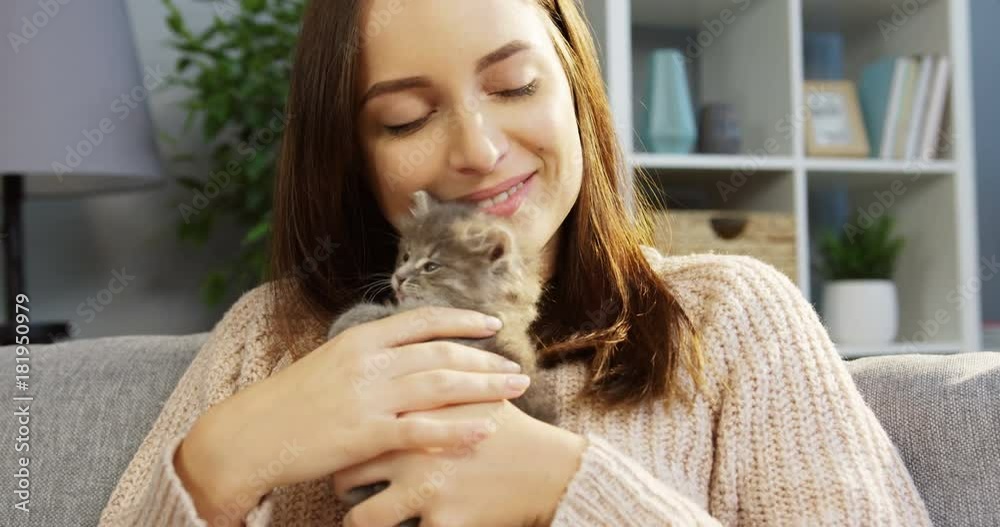 Charming young woman caressing a cute kitty-cat while sitting on the sofa. Portrait shot. Inside the cozy living room Charming young woman caressing a cute kitty-cat while sitting on the sofa. Portrait shot. Inside the cozy living room