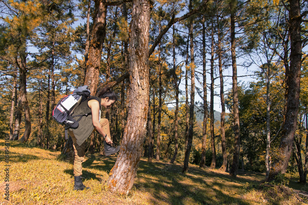 Hiker asia woman standing on forest autum season. Traveler with backpack on hike in nature. Travel Concept.
