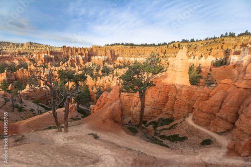 Tableau sur toile Red hoodoos on Fairyland Trail in Bryce Canyon