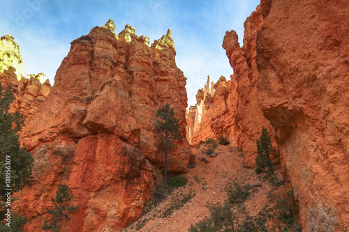 Beautiful red rocks on Fairyland Trail, Bryce Canyon, Utah photo
