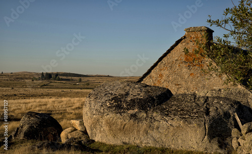 L'Aubrac à Malbouzon, Lozère, France