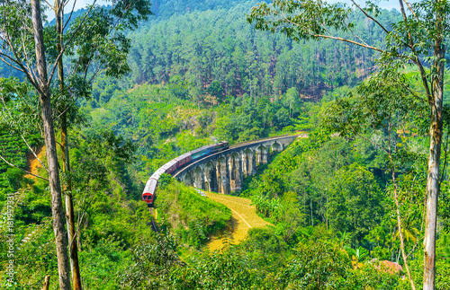 The train on Nine Arch Bridge, Demodara photo