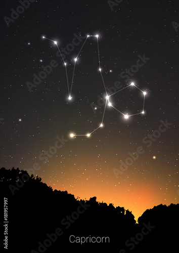 Capricorn zodiac constellations sign with forest landscape silhouette on beautiful starry sky with galaxy and space behind. Capricorn horoscope symbol constellation on deep cosmos background.
