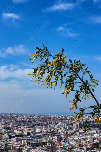 View of Athens in Greece photo