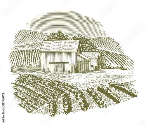 Woodcut Vintage Barnyard