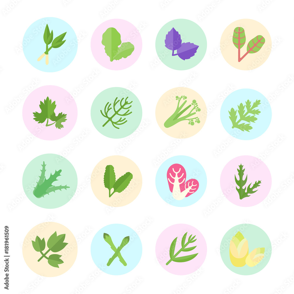 Set Vector Flat Icons of Herbs Set Vector Flat Icons of Herbs
