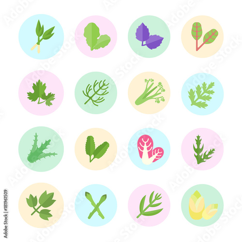Set Vector Flat Icons of Herbs