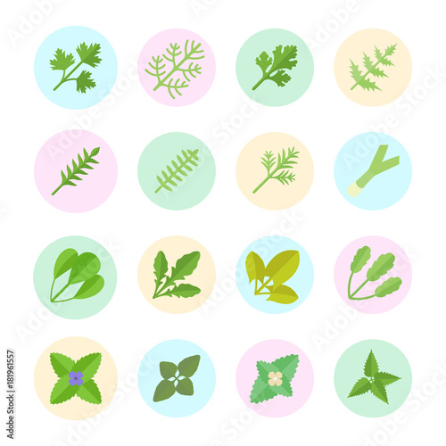 Set Vector Flat Icons of Greenery