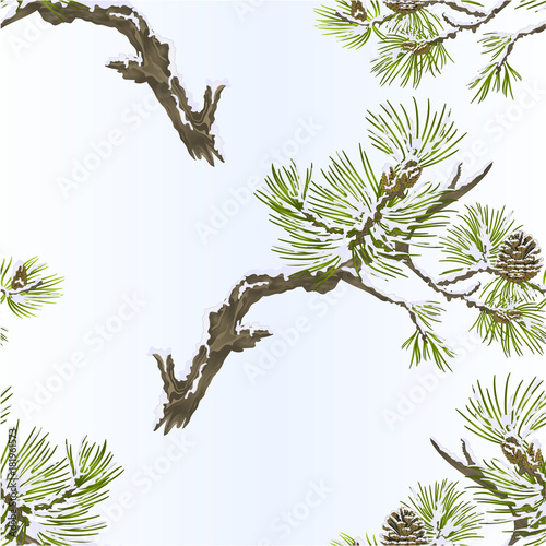 Seamless texture pine branches and cones needles and snow  vintage vector botanical illustration for design editable hand draw