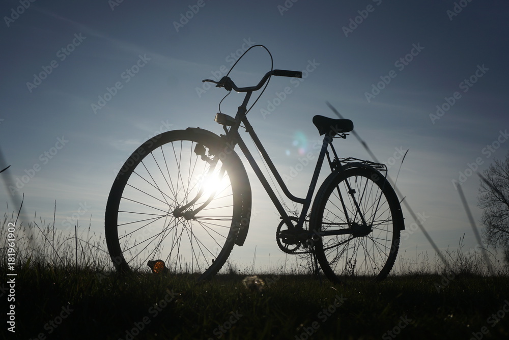 bike standing in the meadow