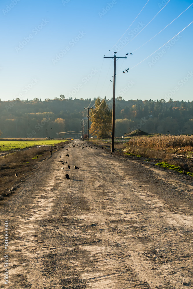 Road Across Fields