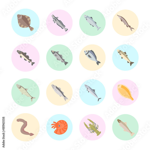 Set Vector Flat Icons of Seafood