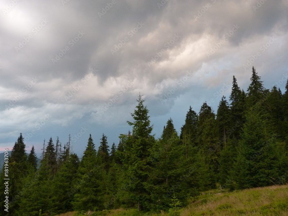 Evening cloudy sky above the mountain forests of the Ukrainian Carpathians. Evening cloudy sky above the mountain forests of the Ukrainian Carpathians.