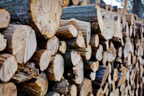 Wood texture background of cut logs. Pile of logs.