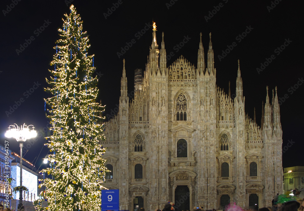 an illuminated Christmas tree in Duomo square in Milan, Italy
