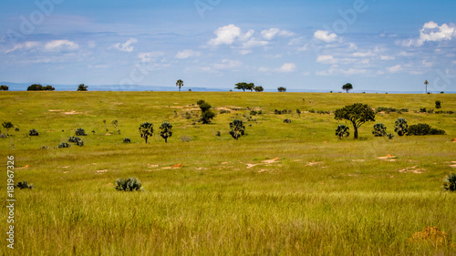 The beautiful wide landscape of the Murchison Falls national park savannas in Uganda. Too bad this place, lake Albert, is endangered by oil drilling companies © Dennis Wegewijs