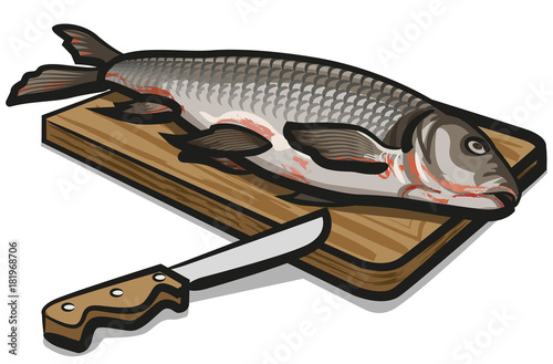 freshwater raw fish