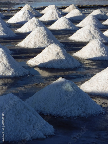 Saline di Trapani, Sicilia photo