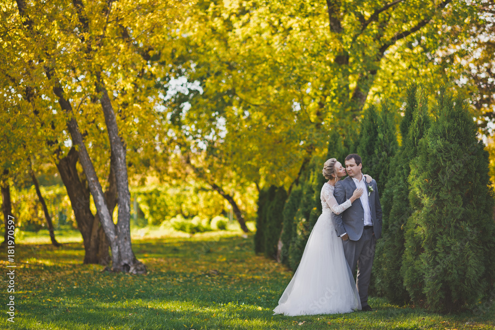 Portrait of the bride and groom strolling through the Sunny autumn fores Portrait of the bride and groom strolling through the Sunny autumn fores