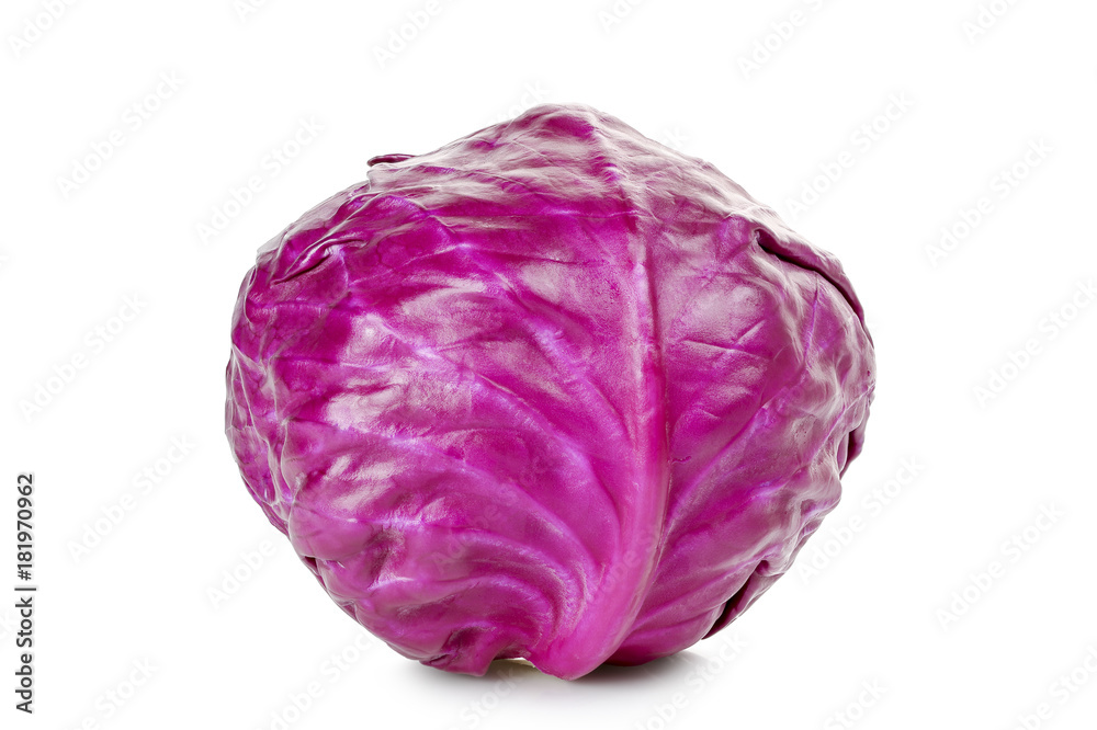 red cabbage red cabbage
