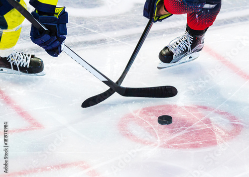 Canvas Print ice hockey player on the ice