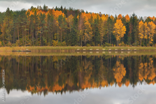 Autumn colors on the lake, Poland