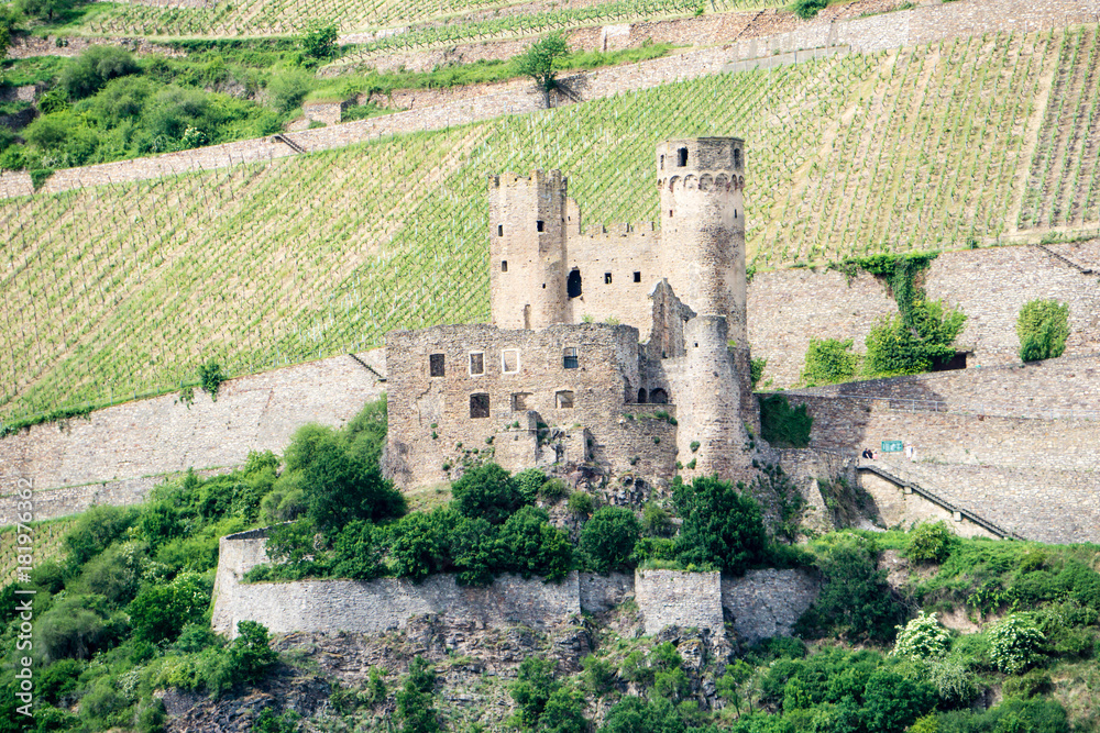 Burg Ehrenfels am Rhein Rheintal Rüdesheim Höhenburg