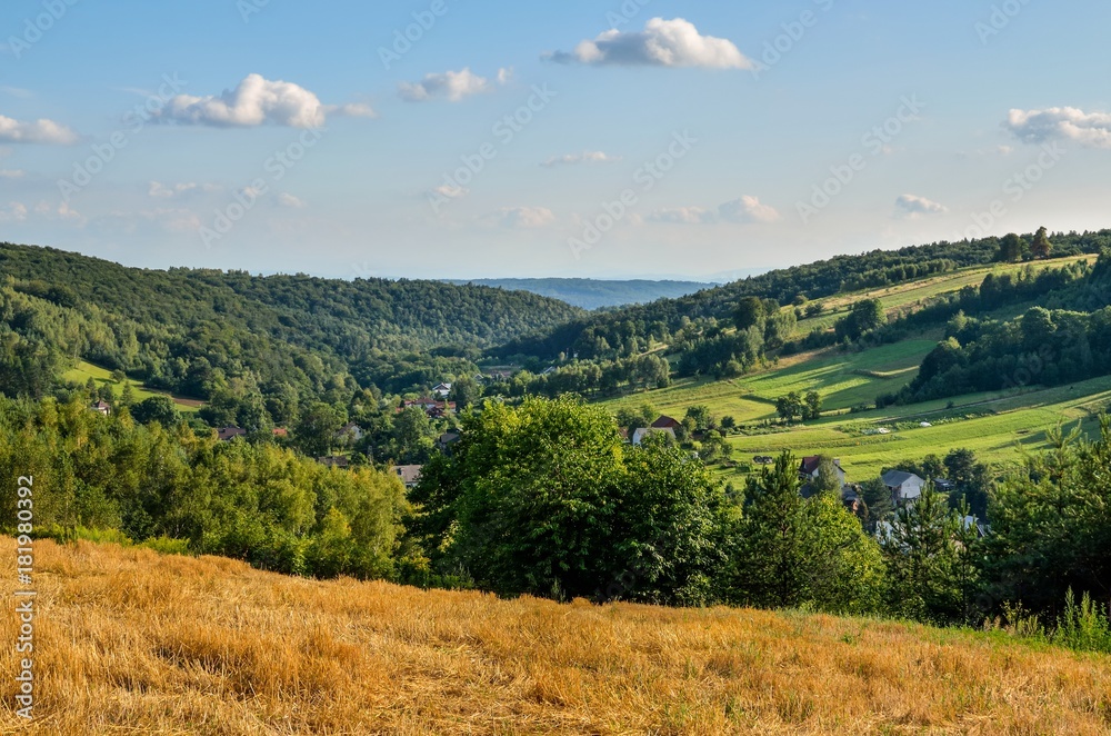 Rural summer landscape. A village in a beautiful Jurassic valley in Poland.