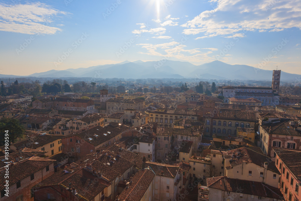 Lucca view from Guinigi Tower.