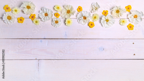 A bouquet of white cosmea or cosmos on white boards. Garden yellow flowers over handmade wooden table background. Backdrop with copy space. Mother's, Valentines, Women's, Wedding Day concept. © Olga Ionina