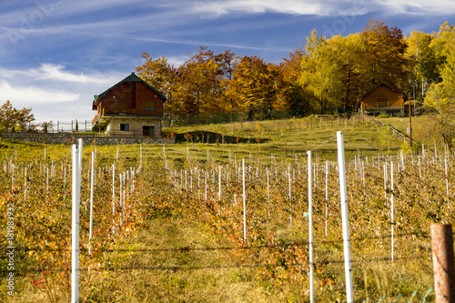 Cabin on the top of a hill with vines on the skirt photo