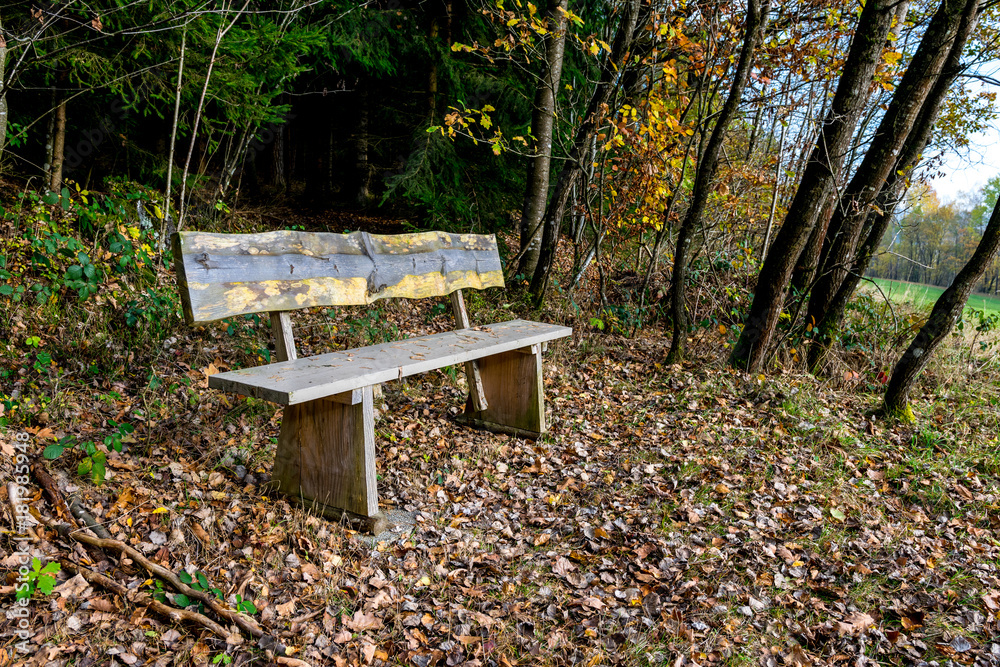 Bank im herbstlichen goldenen Wald mit Laub im Bayerischen Wald Bank im herbstlichen goldenen Wald mit Laub im Bayerischen Wald