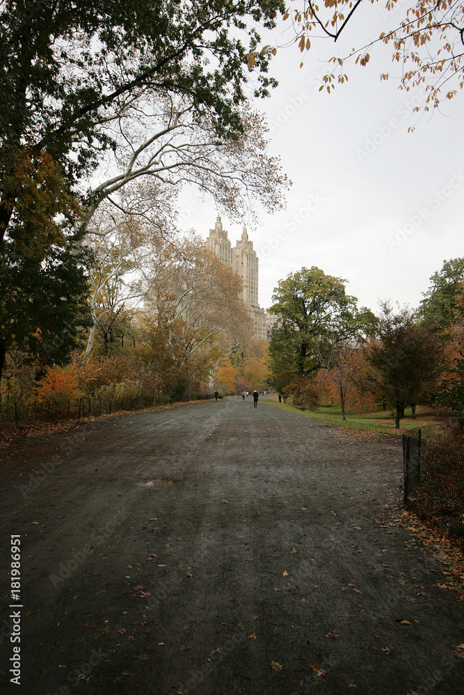 Beautiful fall scenery in Central Park New York at November.