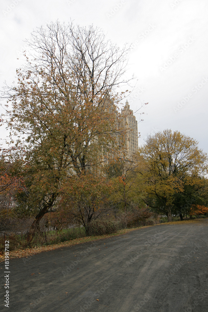 Beautiful fall scenery in Central Park New York at November. Beautiful fall scenery in Central Park New York at November.