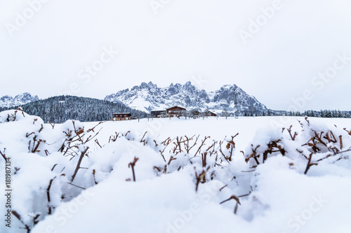 Wilder Kaiser mountainrange panorama with snow, Going am Wilden Kaiser, Tyrol, Austria