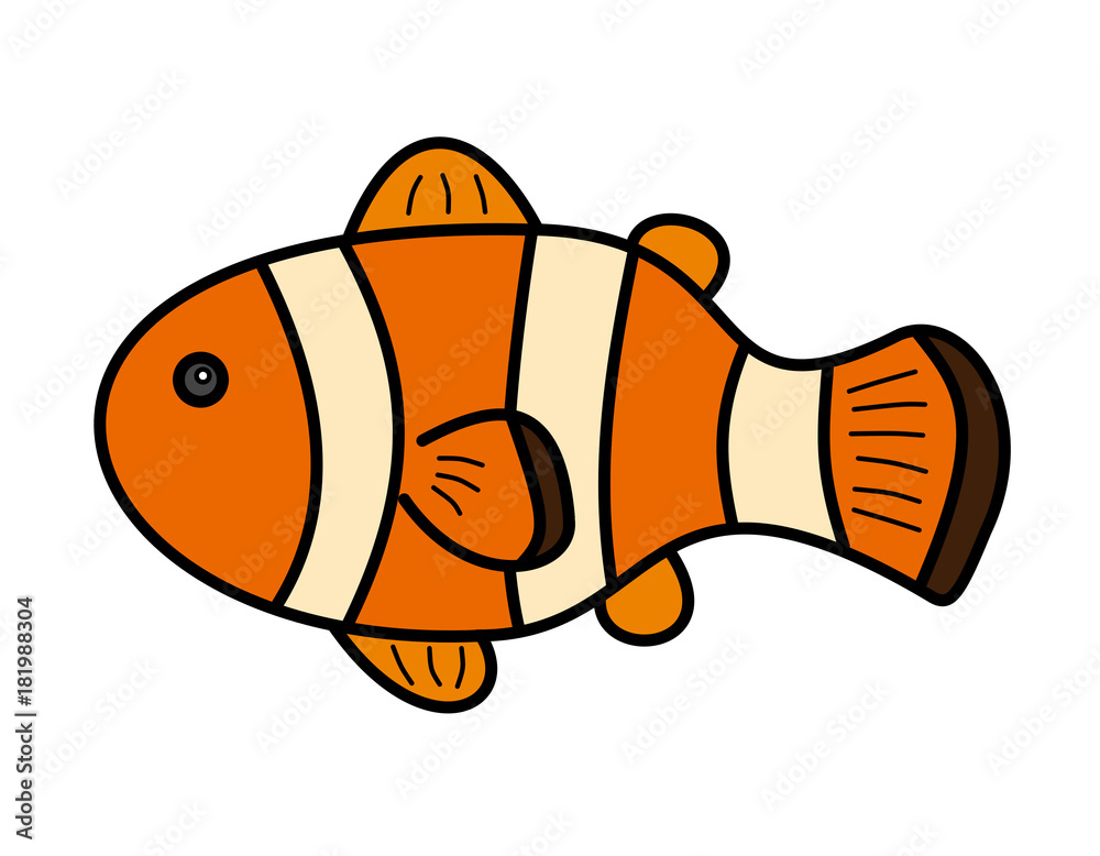 カクレクマノミ 色 目線 Stock イラスト Adobe Stock