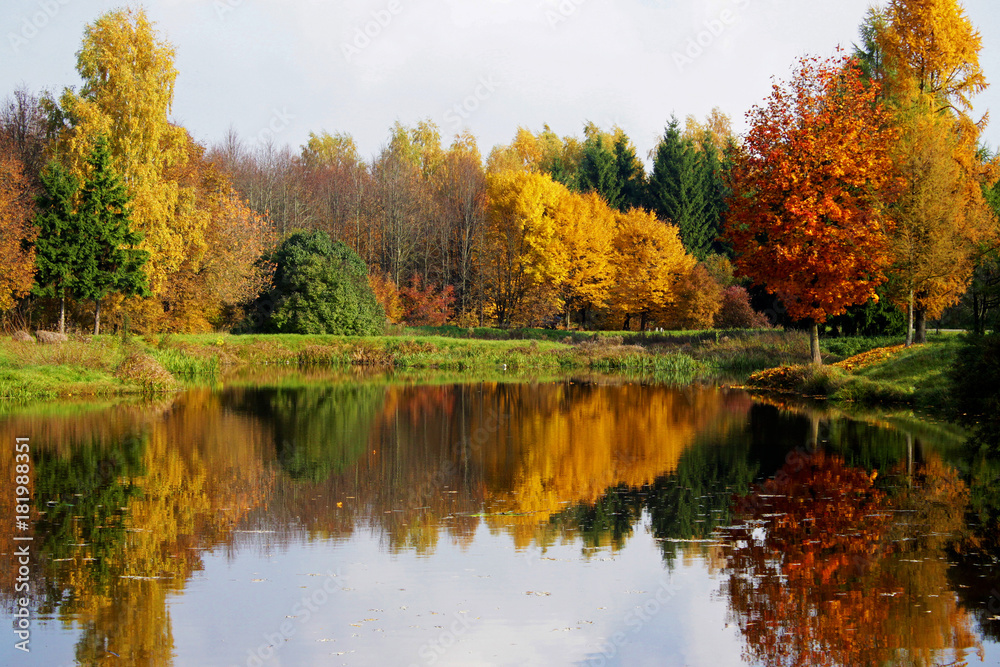 Fototapeta premium Autumn at the pond