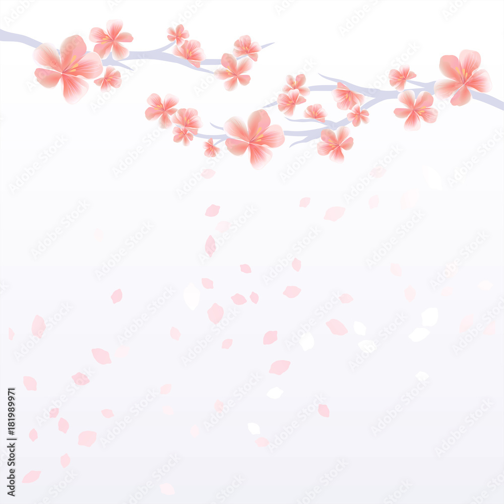 Branches of Sakura with Pink flowers and flying petals isolated on light Violet gradient background. Apple-tree flowers. Cherry blossom. Vector