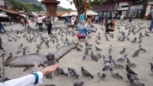 Sarajevo, Bosnia and Herzegovina, 3rd, August 2017 - Slow motion footage of the old town and Sarajevos landmark Sebilj, people feeding the pigeons...