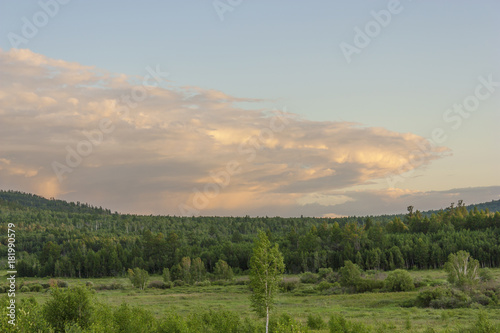 Forest and field with clouds of illuminated sun at dawn