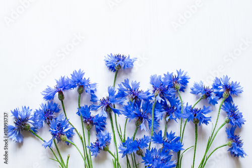blue cornflowers over white